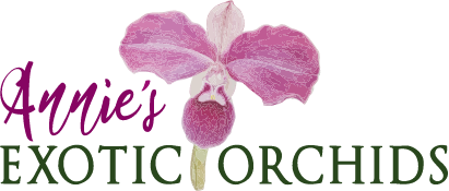 Annie’s Exotic Orchids 